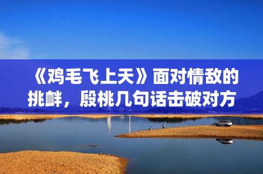 《鸡毛飞上天》面对情敌的挑衅，殷桃几句话击破对方(鸡毛飞上天原型)