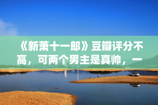《新萧十一郎》豆瓣评分不高，可两个男主是真帅，一个比一个养眼(新萧十一郎免费观看完整版)