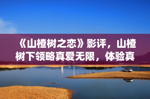 《山楂树之恋》影评，山楂树下领略真爱无限，体验真爱真情(《山楂树之恋》电影)