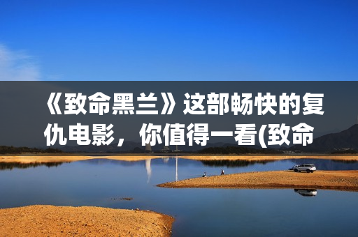 《致命黑兰》这部畅快的复仇电影，你值得一看(致命黑兰原版)