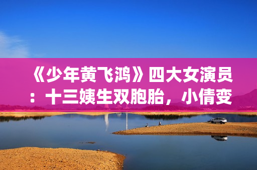 《少年黄飞鸿》四大女演员：十三姨生双胞胎，小倩变美，最红是她(少年黄飞鸿演员表全部)