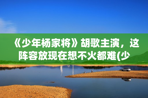 《少年杨家将》胡歌主演，这阵容放现在想不火都难(少年杨家将 电视剧)