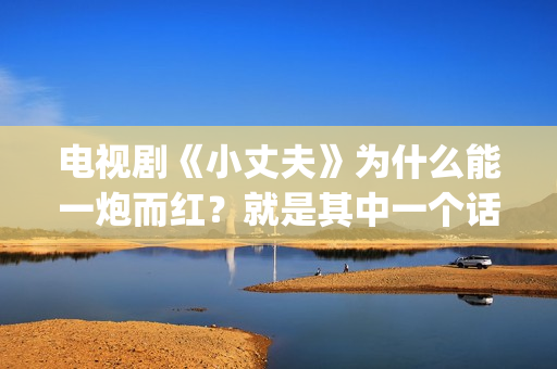 电视剧《小丈夫》为什么能一炮而红？就是其中一个话题，姐弟恋(电视剧《小丈夫》免费播放)