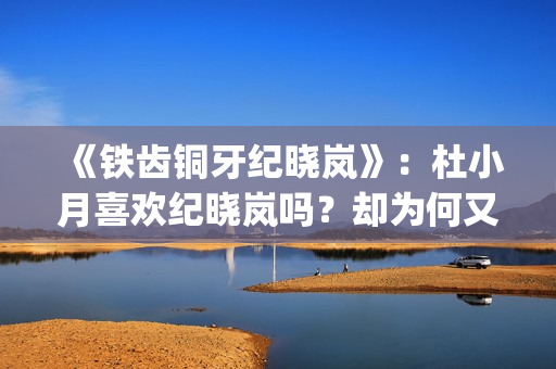 《铁齿铜牙纪晓岚》：杜小月喜欢纪晓岚吗？却为何又两次嫁人？(铁齿铜牙纪晓岚片尾曲)