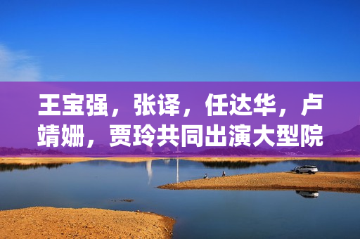 王宝强，张译，任达华，卢靖姗，贾玲共同出演大型院线爆笑喜剧《泰味儿》，或成为19年票房黑马？(王宝强张译悼念刁海明)