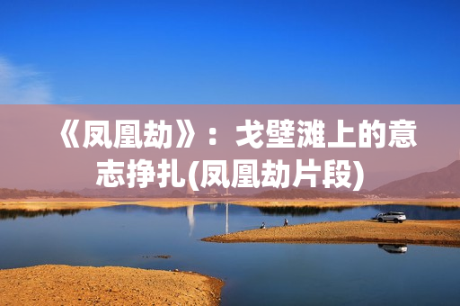 《凤凰劫》：戈壁滩上的意志挣扎(凤凰劫片段)