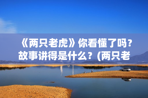 《两只老虎》你看懂了吗？故事讲得是什么？(两只老虎mtv)
