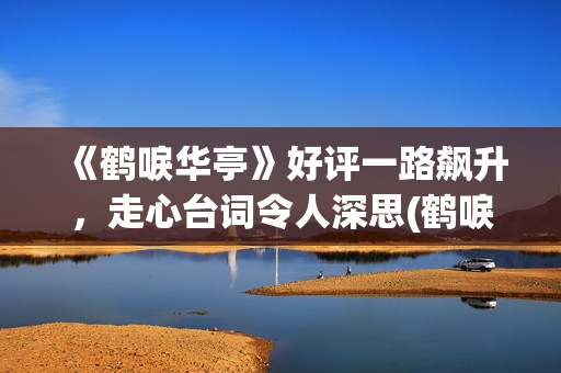 《鹤唳华亭》好评一路飙升，走心台词令人深思(鹤唳华亭太好看了)