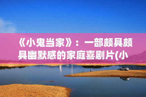 《小鬼当家》：一部颇具颇具幽默感的家庭喜剧片(小鬼当家一共几部)