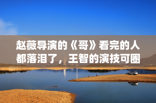 赵薇导演的《哥》看完的人都落泪了，王智的演技可圈可点！(赵薇终极作品《哥》完整版)