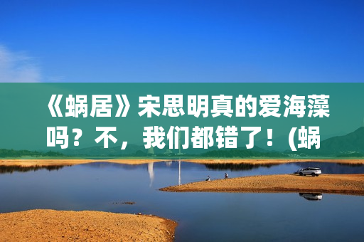 《蜗居》宋思明真的爱海藻吗？不，我们都错了！(蜗居宋思明是什么身份)