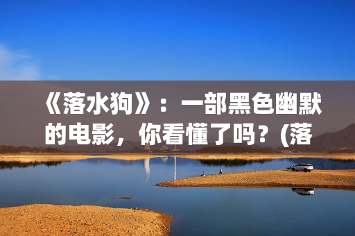 《落水狗》：一部黑色幽默的电影，你看懂了吗？(落水狗完整版)