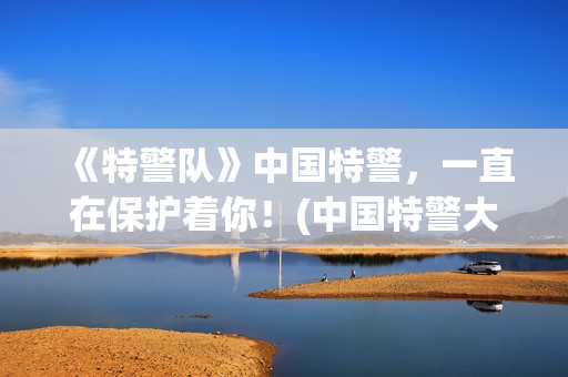 《特警队》中国特警，一直在保护着你！(中国特警大片)
