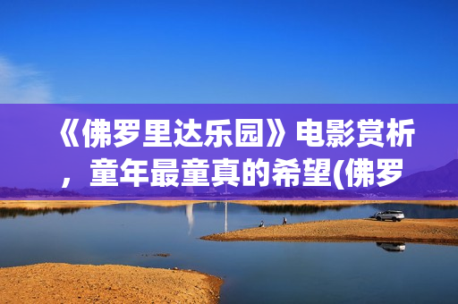 《佛罗里达乐园》电影赏析，童年最童真的希望(佛罗里达乐园百度百科)
