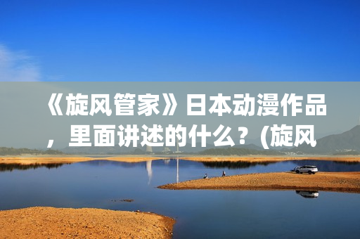 《旋风管家》日本动漫作品，里面讲述的什么？(旋风管家第一季ova)