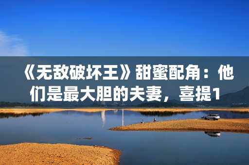 《无敌破坏王》甜蜜配角：他们是最大胆的夫妻，喜提15位家庭成员(《无敌破坏王》2)