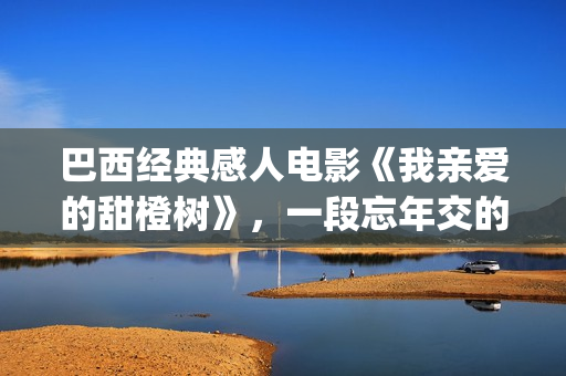 巴西经典感人电影《我亲爱的甜橙树》，一段忘年交的真挚故事(巴西电影经典)