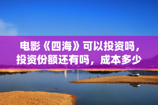 电影《四海》可以投资吗，投资份额还有吗，成本多少？(电影《四海》可以在哪看)
