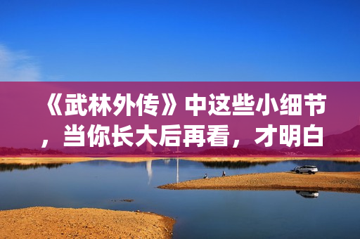 《武林外传》中这些小细节，当你长大后再看，才明白社会的险恶！(武林外传中白展堂的绝招是)