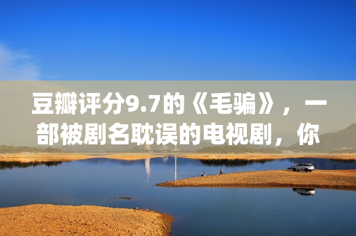 豆瓣评分9.7的《毛骗》，一部被剧名耽误的电视剧，你看过没？(豆瓣评分9.5)