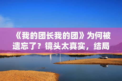 《我的团长我的团》为何被遗忘了？镜头太真实，结局太虐心(我的团长我的团演员表)