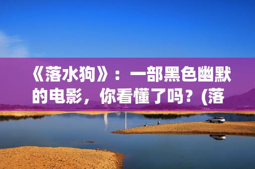 《落水狗》：一部黑色幽默的电影，你看懂了吗？(落水狗终极解读)