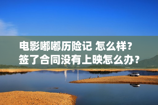 电影嘟嘟历险记 怎么样？ 签了合同没有上映怎么办？(嘟嘟生活历险记)