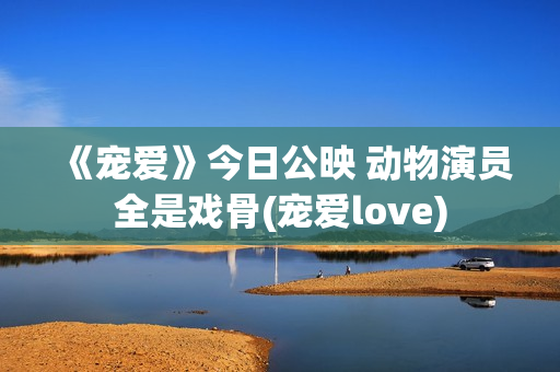 《宠爱》今日公映 动物演员全是戏骨(宠爱love)
