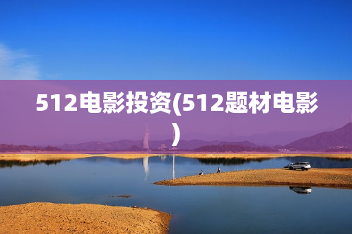 512电影投资(512题材电影)