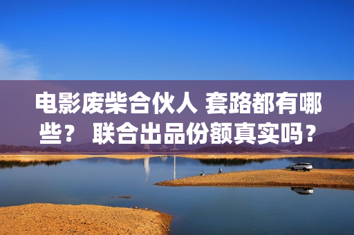 电影废柴合伙人 套路都有哪些？ 联合出品份额真实吗？(废柴兄弟众筹吃火锅是哪一集)