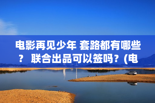 电影再见少年 套路都有哪些？ 联合出品可以签吗？(电影再见少年剧情介绍)