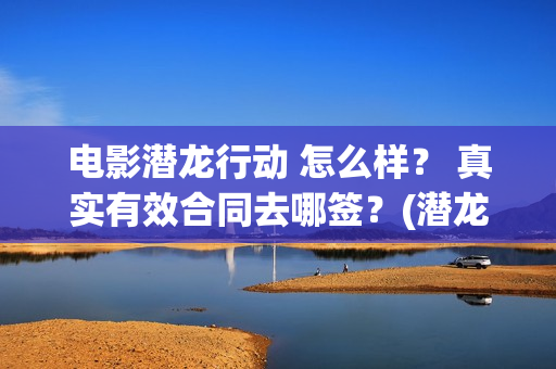 电影潜龙行动 怎么样？ 真实有效合同去哪签？(潜龙行动电影大结局)