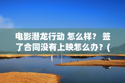 电影潜龙行动 怎么样？ 签了合同没有上映怎么办？(电影潜龙行动)