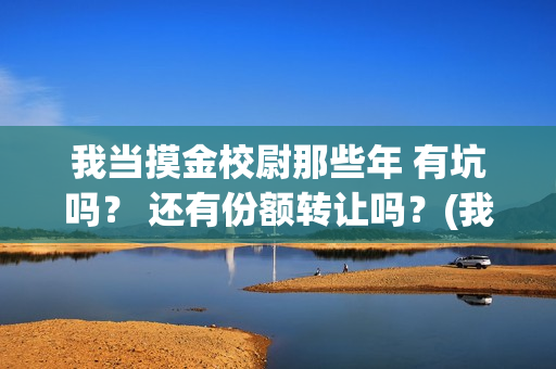 我当摸金校尉那些年 有坑吗？ 还有份额转让吗？(我当摸金校尉结局知乎)