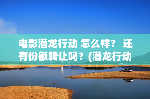 电影潜龙行动 怎么样？ 还有份额转让吗？(潜龙行动演员表)
