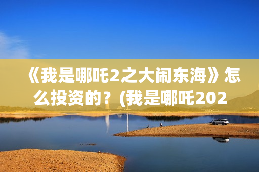 《我是哪吒2之大闹东海》怎么投资的？(我是哪吒2021)