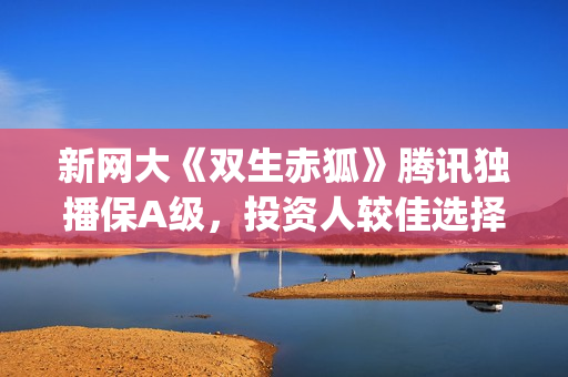 新网大《双生赤狐》腾讯独播保A级，投资人较佳选择(双生赤孤电影)
