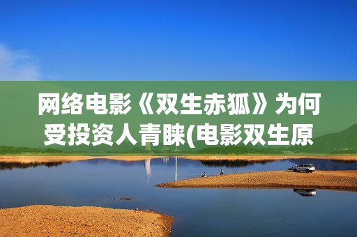 网络电影《双生赤狐》为何受投资人青睐(电影双生原著小说)