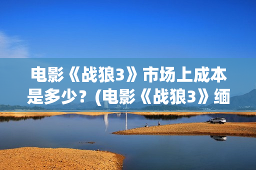 电影《战狼3》市场上成本是多少？(电影《战狼3》缅北营救)