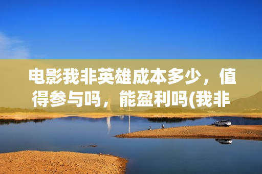 电影我非英雄成本多少，值得参与吗，能盈利吗(我非英雄在线播放大地影院)