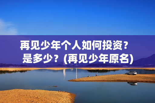再见少年个人如何投资？ 是多少？(再见少年原名)