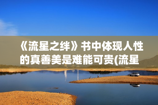 《流星之绊》书中体现人性的真善美是难能可贵(流星之绊这本书怎么样)