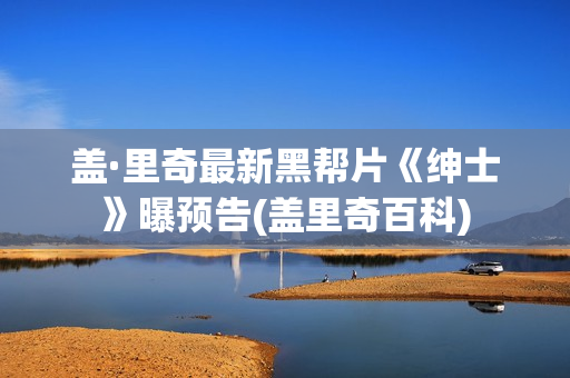盖·里奇最新黑帮片《绅士》曝预告(盖里奇百科)