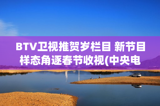 BTV卫视推贺岁栏目 新节目样态角逐春节收视(中央电视台贺岁杯)