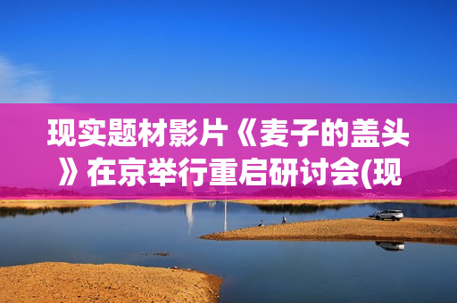 现实题材影片《麦子的盖头》在京举行重启研讨会(现实题材高分电影)
