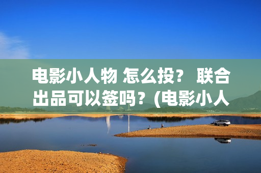 电影小人物 怎么投？ 联合出品可以签吗？(电影小人物到底是谁)