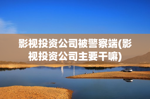影视投资公司被警察端(影视投资公司主要干嘛)