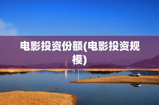 电影投资份额(电影投资规模)