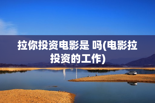 拉你投资电影是 吗(电影拉投资的工作)