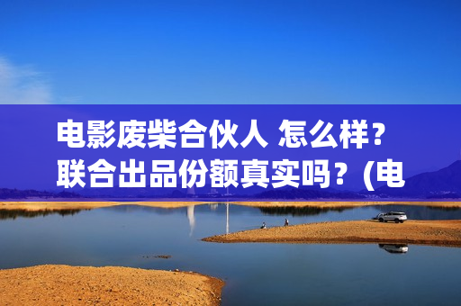 电影废柴合伙人 怎么样？ 联合出品份额真实吗？(电影废柴合伙人免费观看)